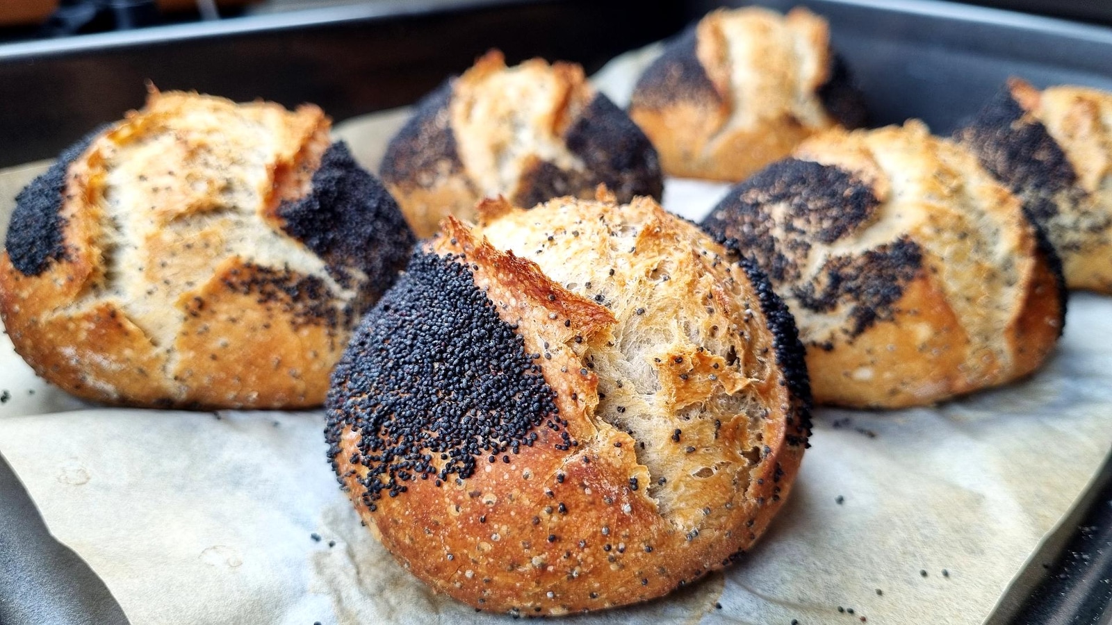 Poppy Seed Bread Rolls