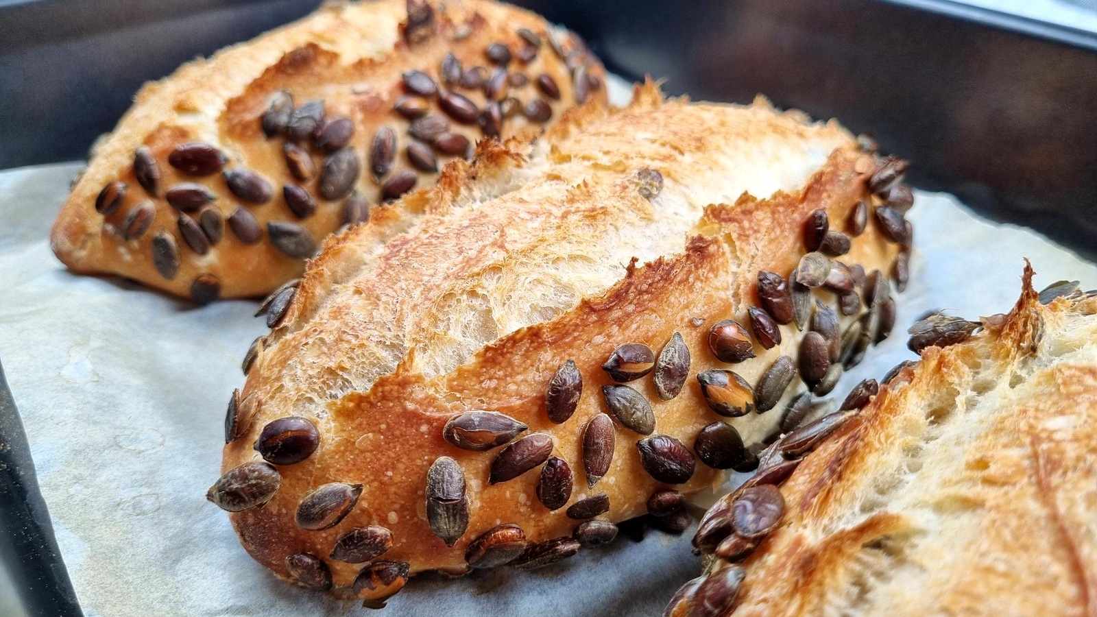Pumpkin Seed Bread Rolls
