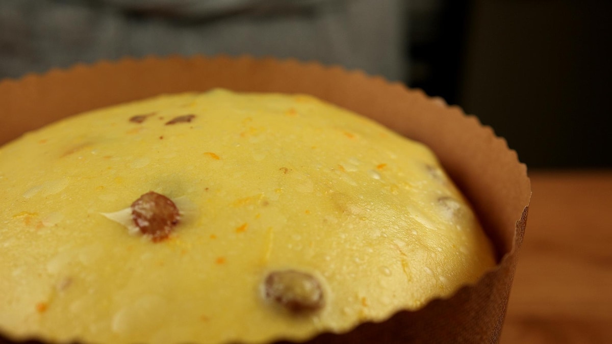 Panettone by Food Language