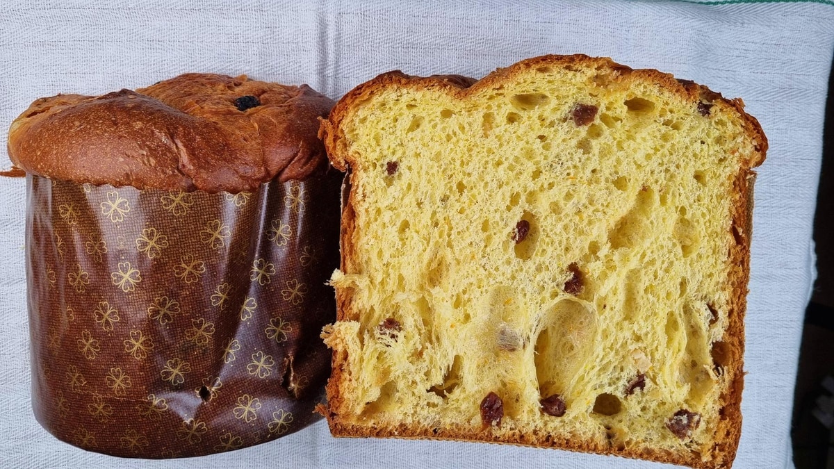 Panettone by Food Language