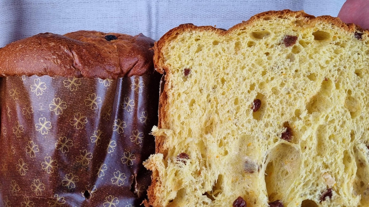 Panettone by Food Language